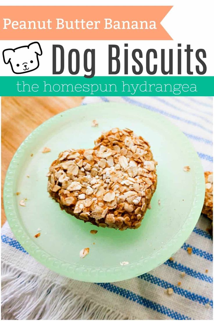 3 Ingredient Biscuit Recipe Without Butter