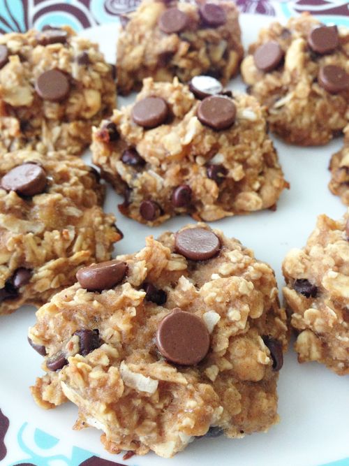 Healthy Oatmeal Cookies No Peanut Butter