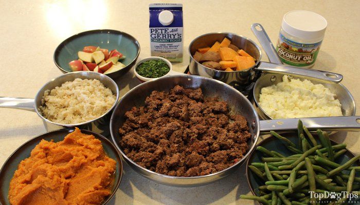 Homemade Recipes For Dogs With Kidney Disease