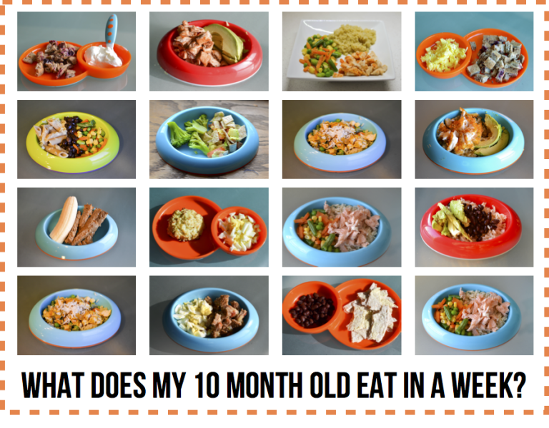Baby Meal Ideas 10 Months