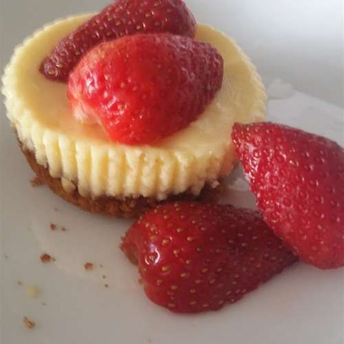 Baked Cheesecake Recipes Nz