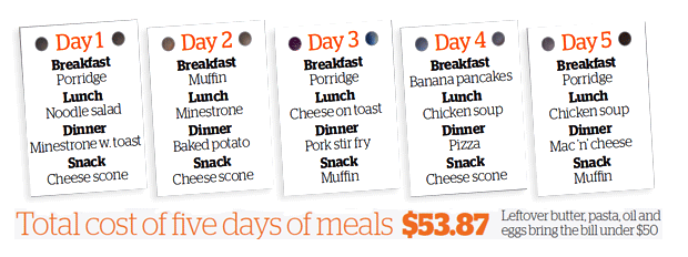 Healthy Family Meal Plan Nz