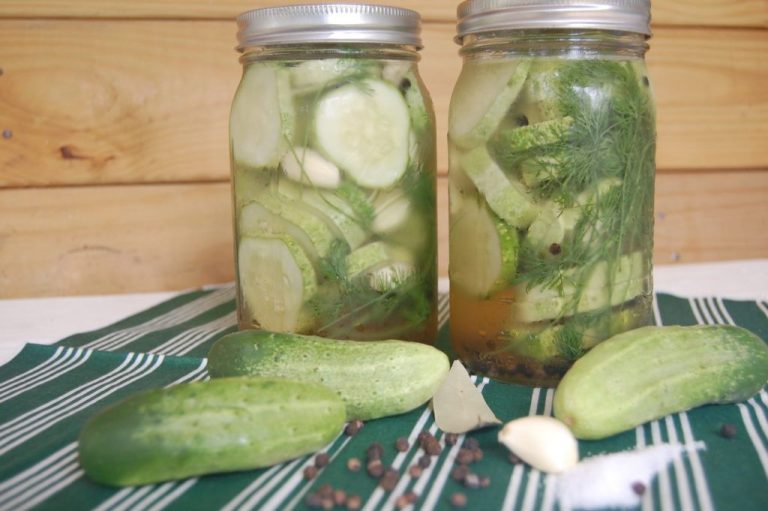 Refrigerator Dill Pickles Recipe Small Batch