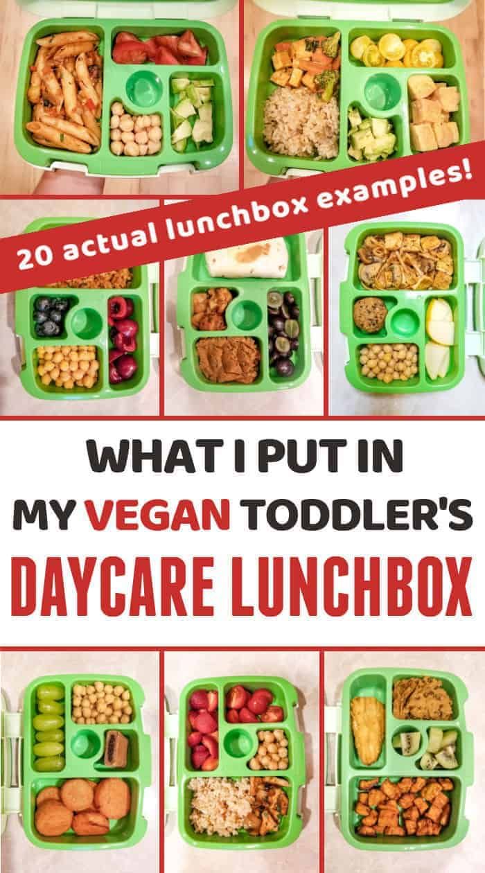Vegetarian Lunch Ideas For Toddlers At Daycare