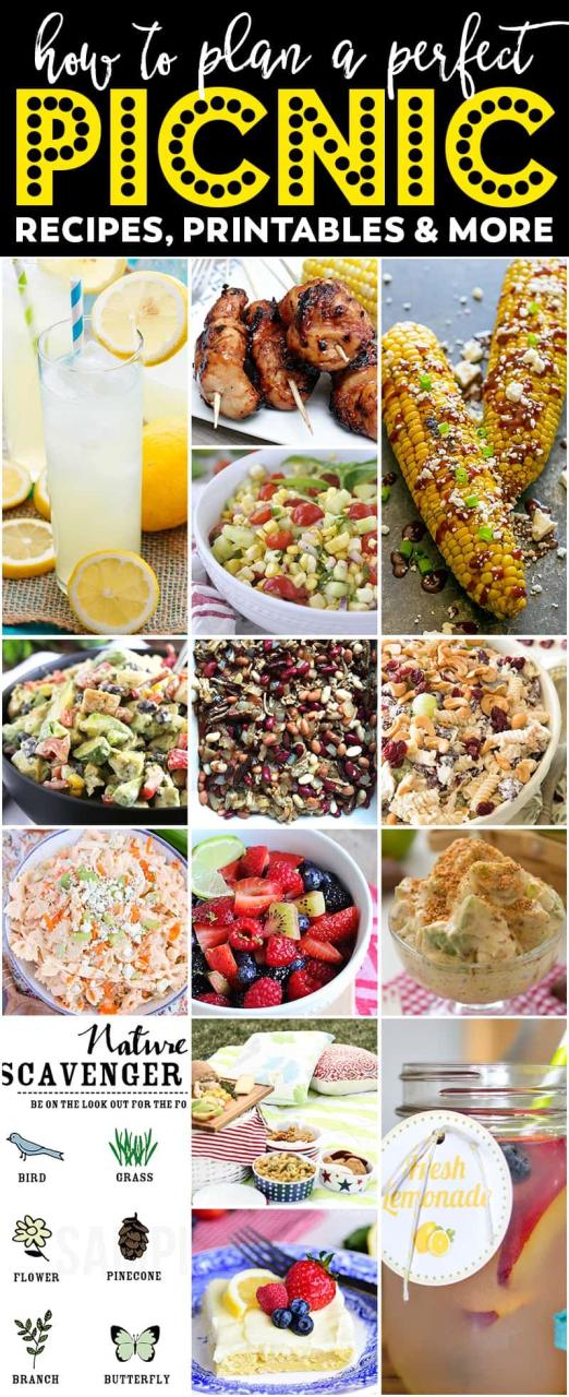 Great Picnic Lunch Ideas