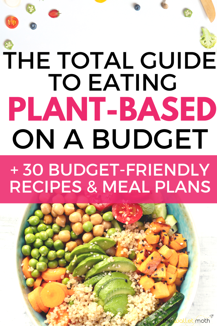 The Budget-friendly Vegan Cookbook Healthy Meals For A Plant-based Diet
