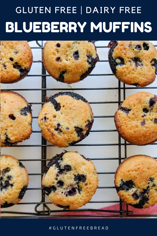 Best Gluten Free Lemon Blueberry Muffins