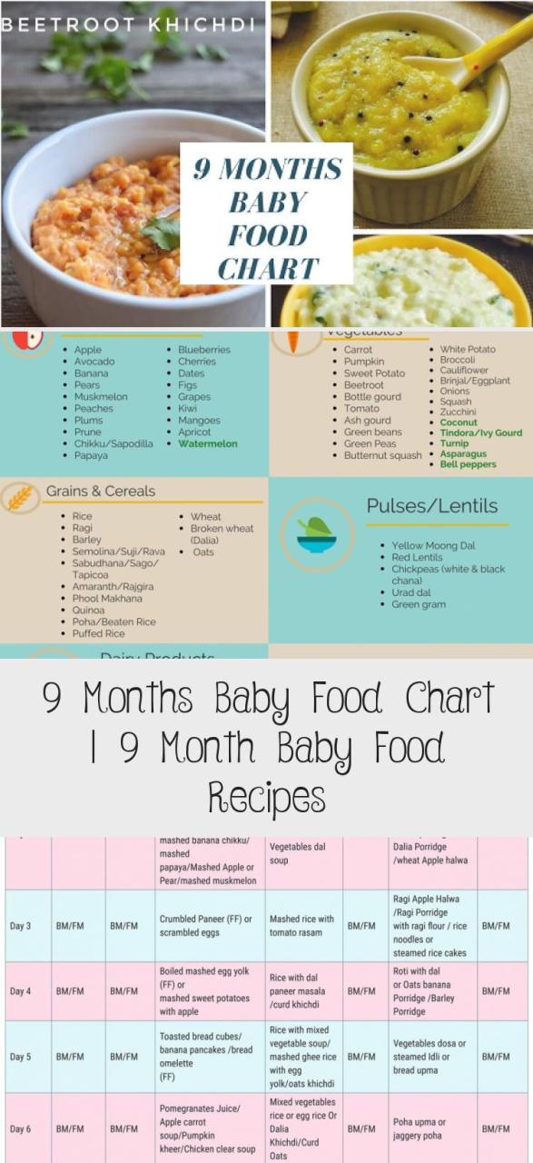 Baby Meal Ideas 9 Months