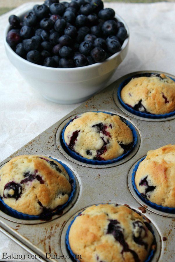Easy Blueberry Muffin Recipes From Scratch