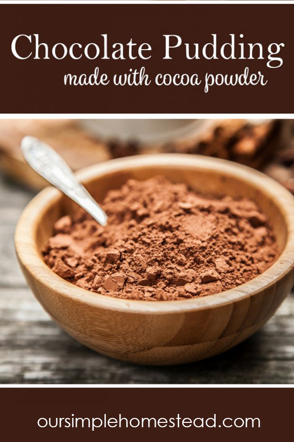 Easy Chocolate Pudding Recipe Without Cocoa Powder