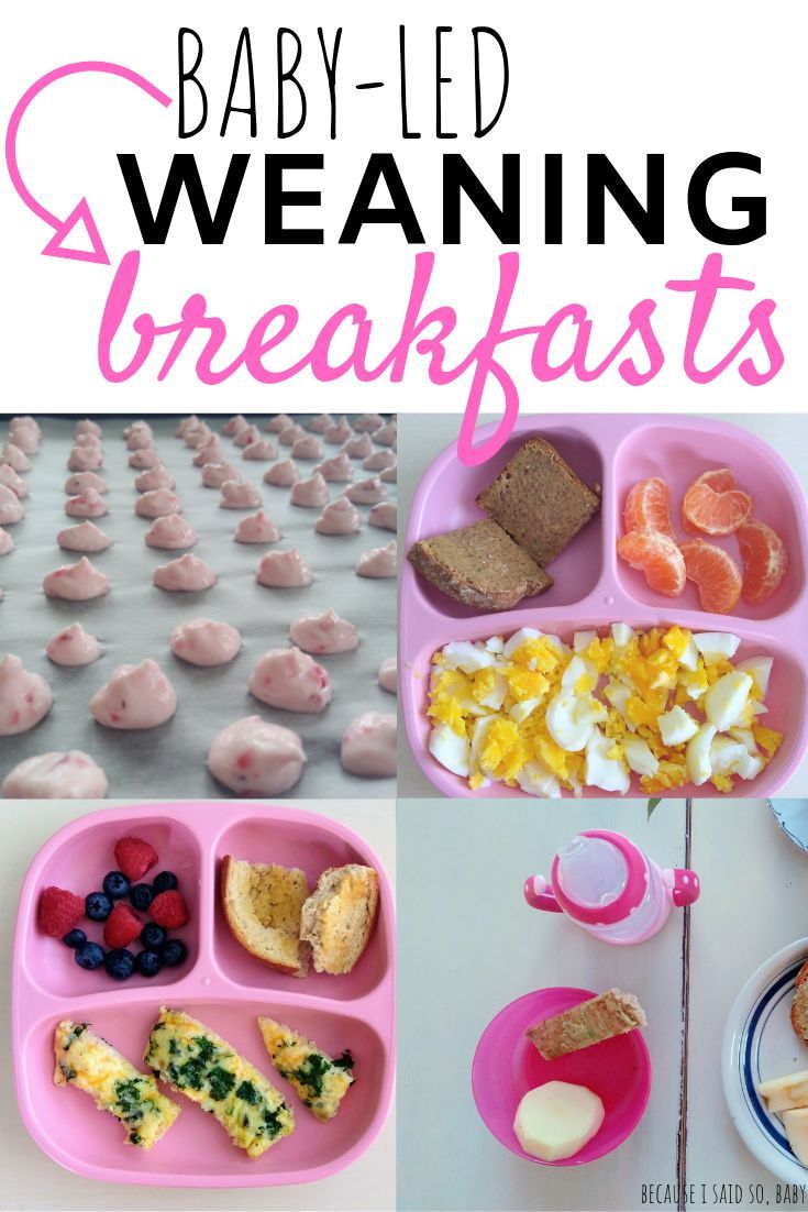 Breakfast Ideas For 8 Month Old Blw