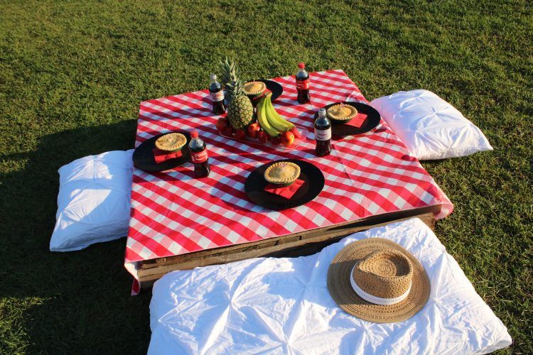 Chicken Picnic Table Plans