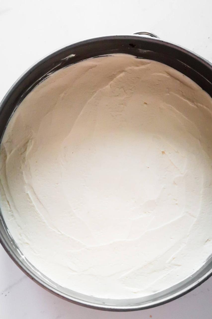 5 Ingredient No Bake Cheesecake South Africa