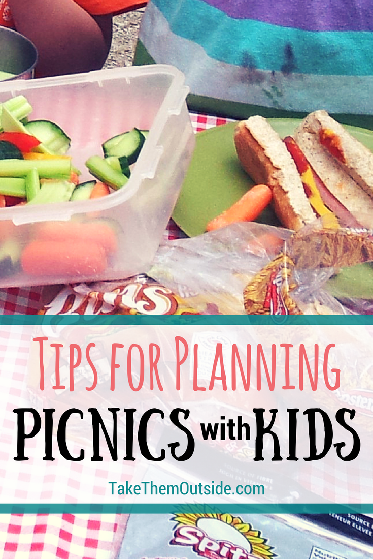 Best Picnic Foods For Family