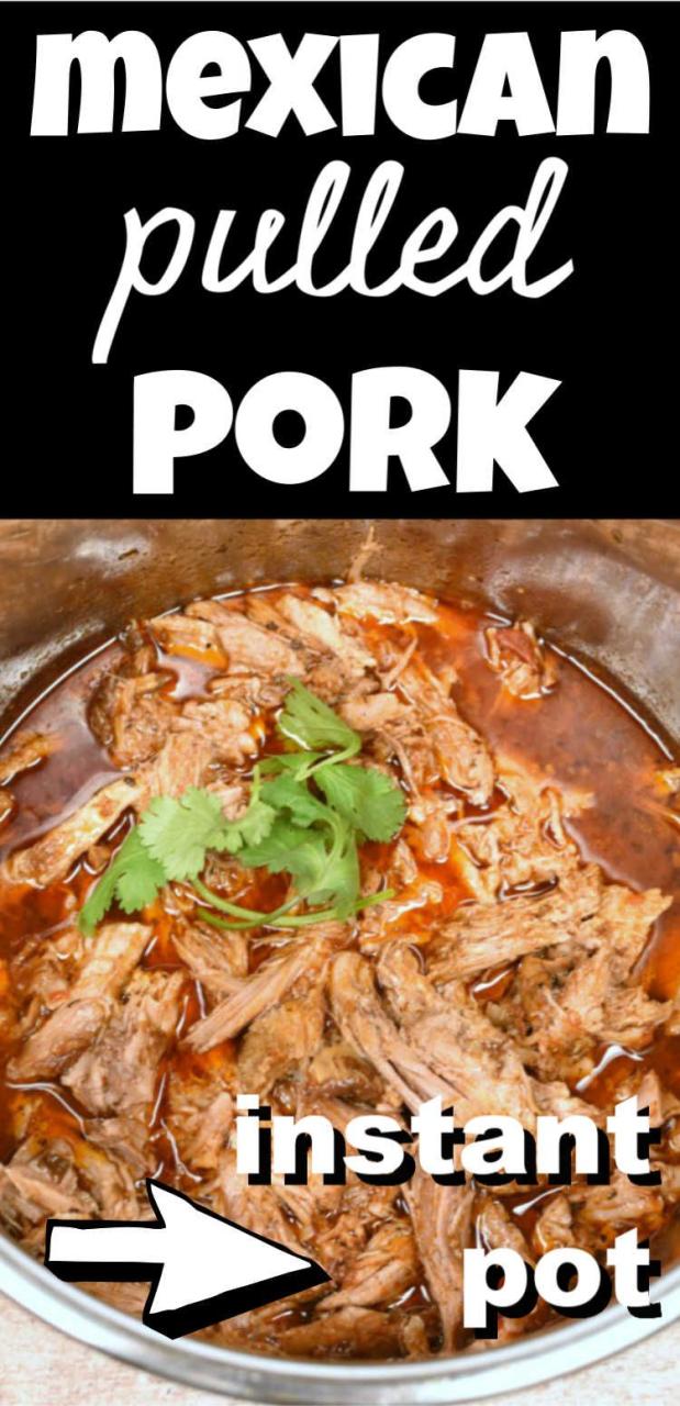 Instant Pot Picnic Pork Roast