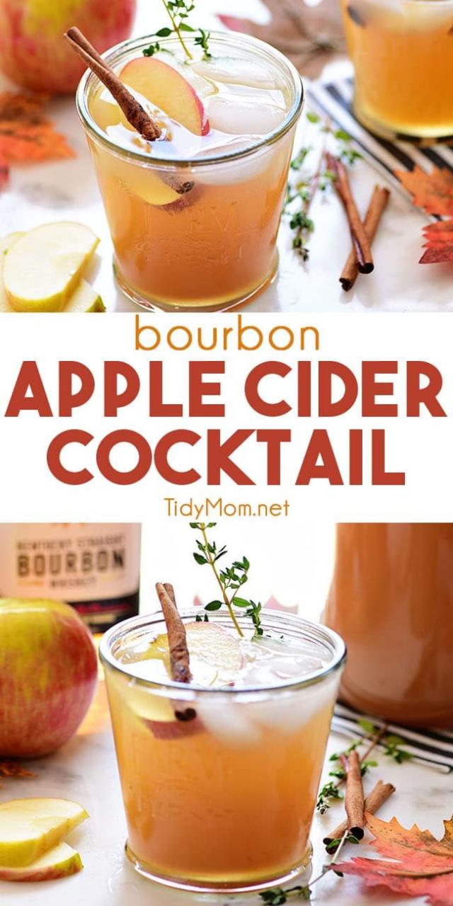 Alcoholic Apple Cider Recipe Easy