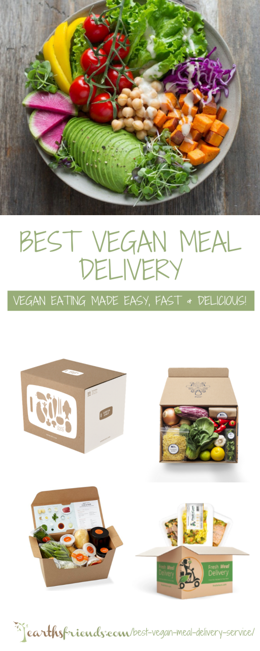 Cheap Vegan Meals Delivered
