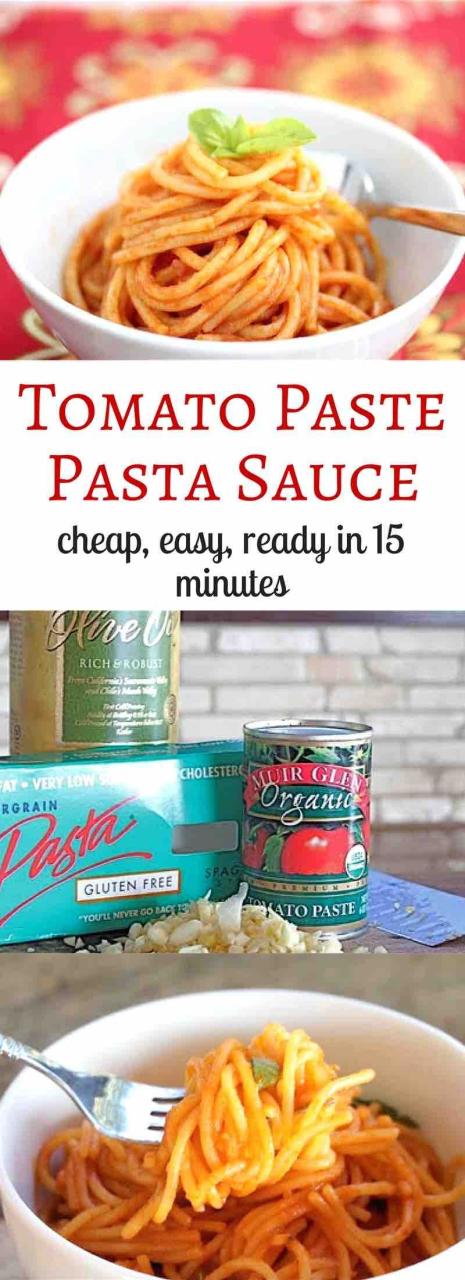Easy Spaghetti Sauce Recipe With Tomato Paste