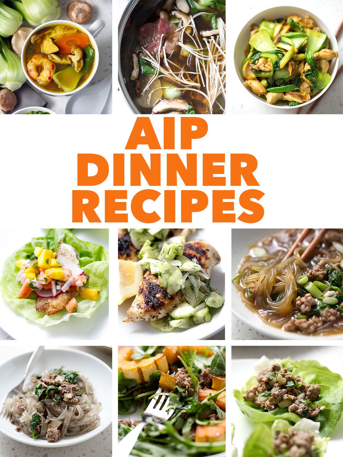 Aip Dinner Recipes Easy