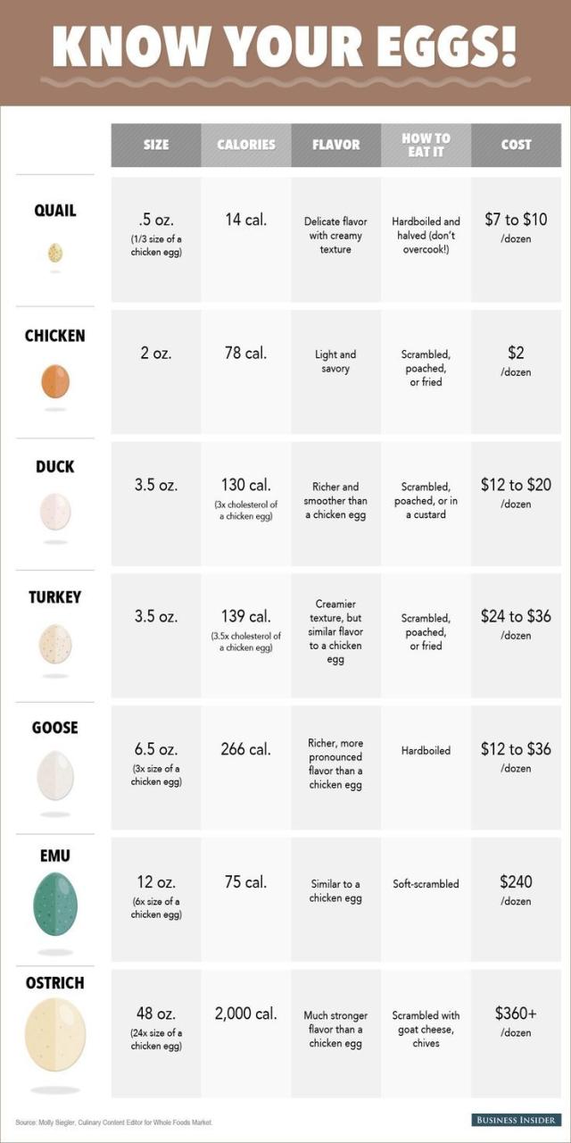 How Do You Cook An Ostrich Egg