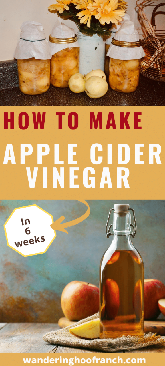 Apple Cider Vinegar Baking Recipes