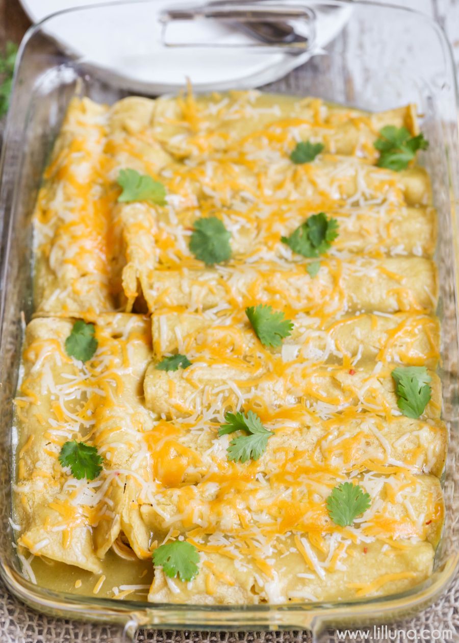 Authentic Chicken Enchilada Recipe With Green Sauce – Food Recipe Story