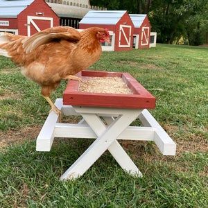 Chicken Picnic Table
