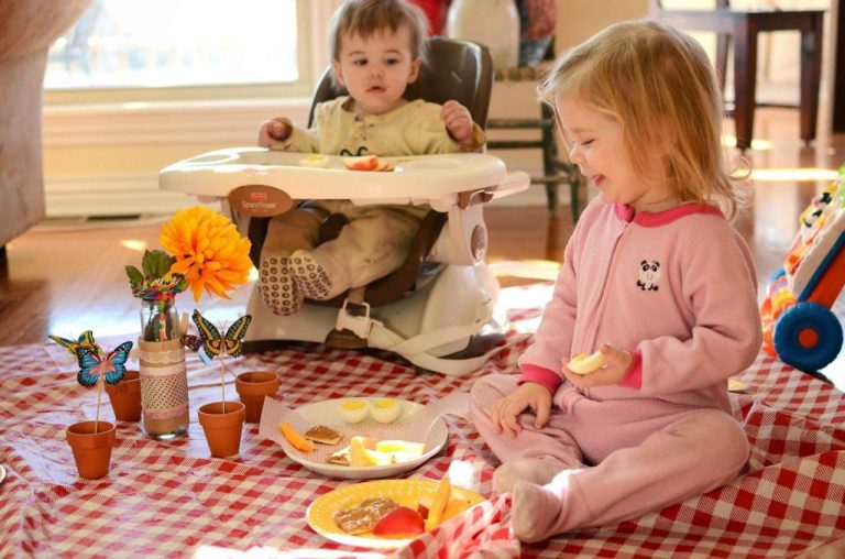 Indoor Picnic Ideas For Toddlers
