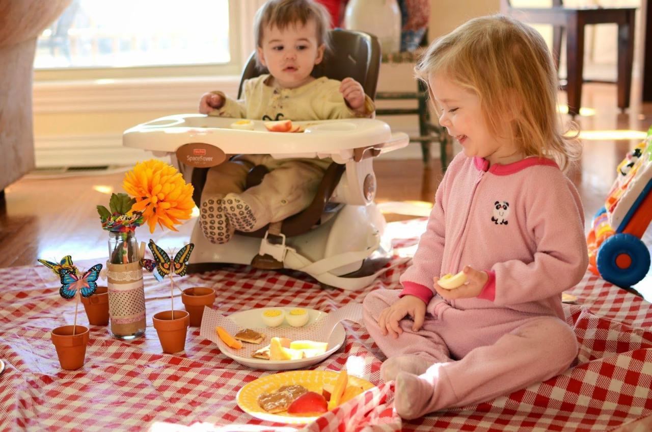 Indoor Picnic Ideas For Toddlers