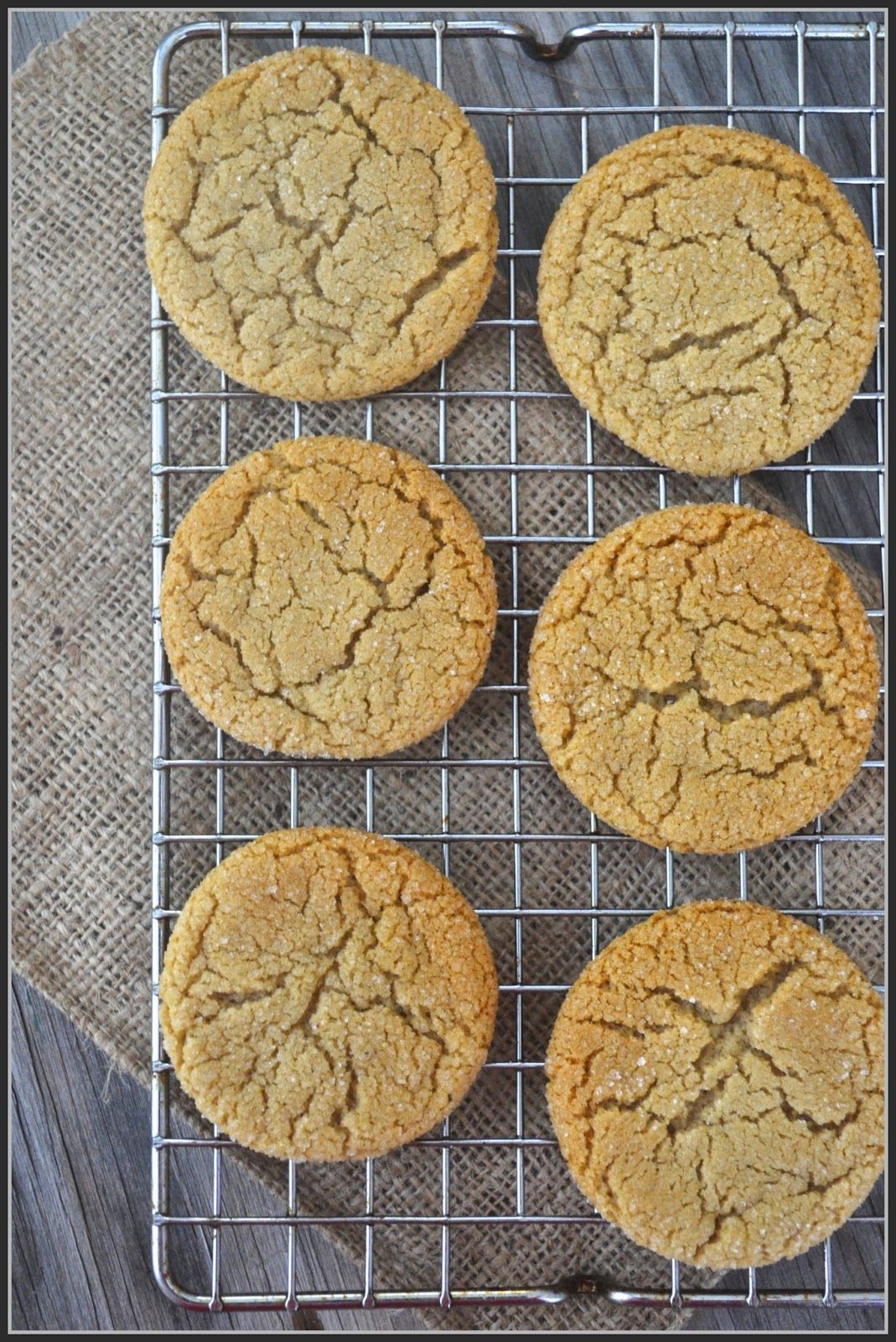 Ginger Cookie Recipe Without Molasses