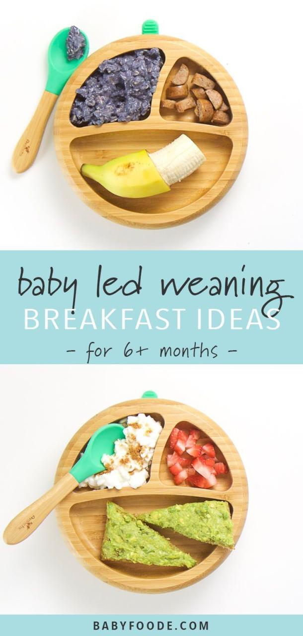 Baby Meal Ideas 6 Months