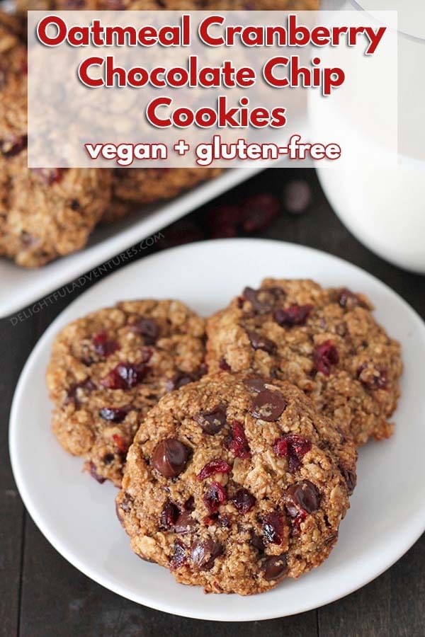 Vegan Gluten Free Oatmeal Cranberry Cookies