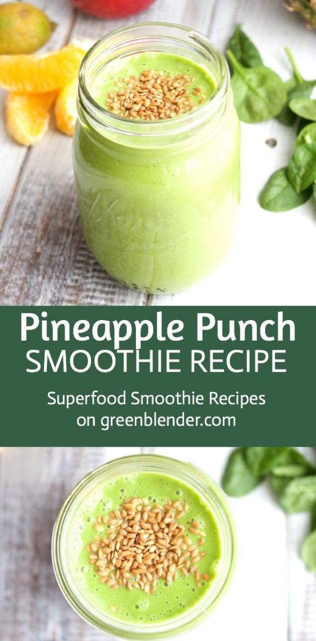 Healthy Fruit Smoothie Recipes Pdf