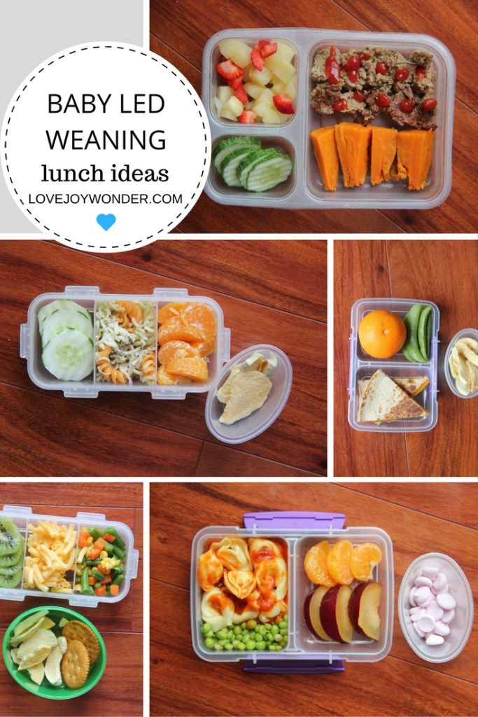 Lunch Ideas For Babies On The Go