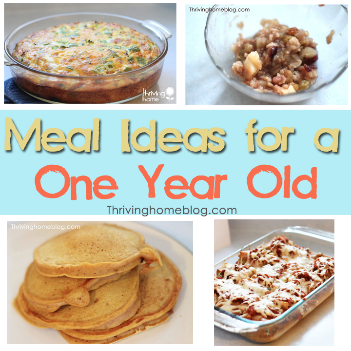 Easy Healthy Meals For One Year Old