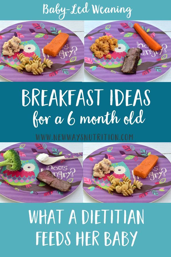 Dinner Ideas For 6 Month Old