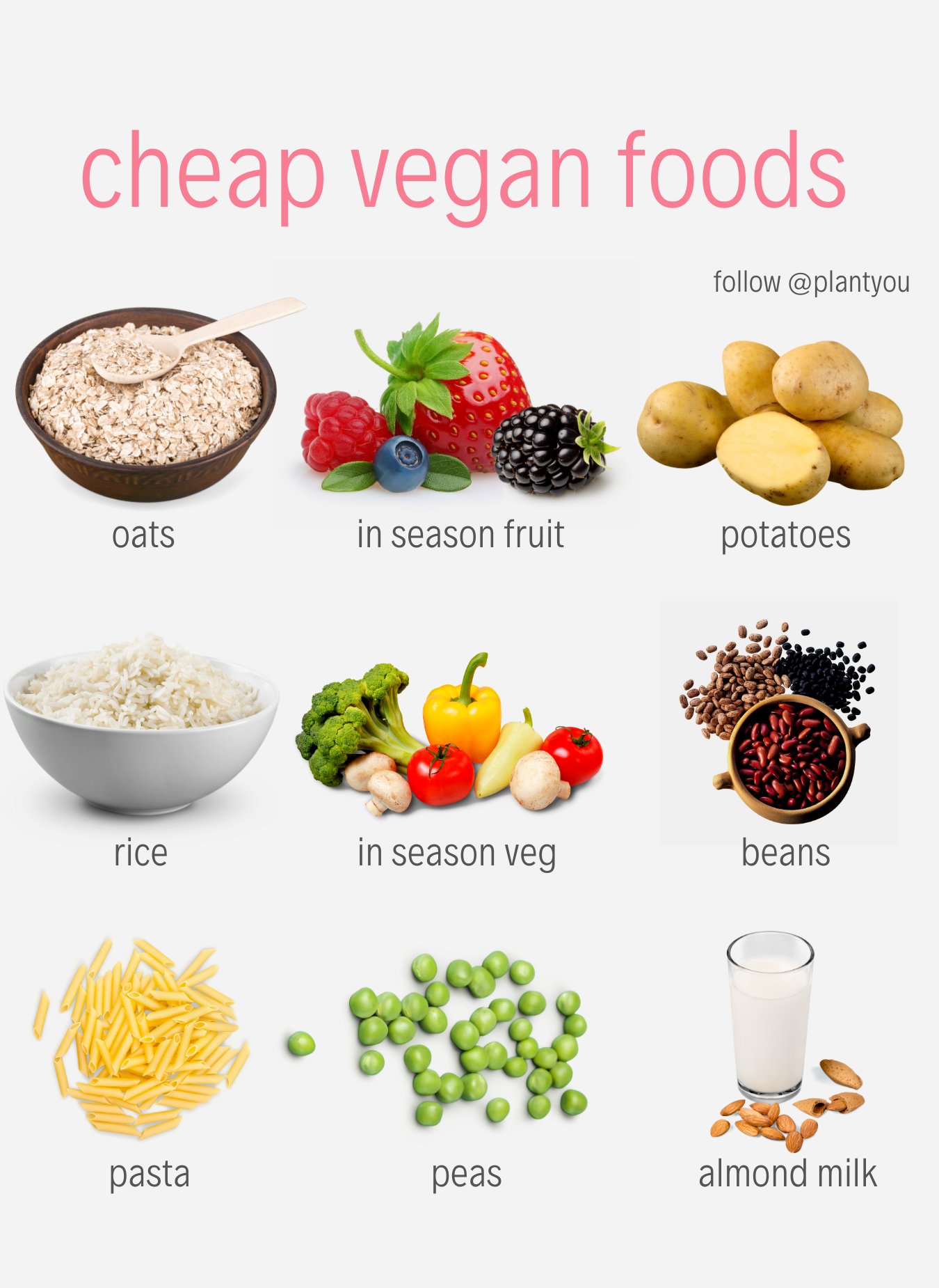 Cheapest Vegan Meals