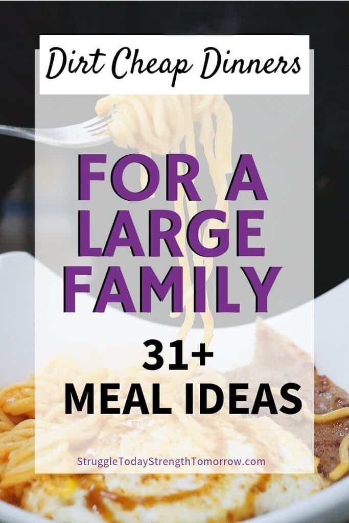 Cheap Dinner Ideas For Family Of 5