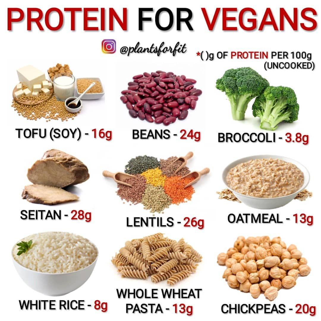 Vegetarian Protein Recipes For Weight Loss