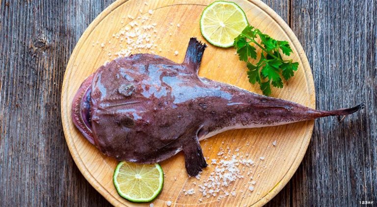 How To Best Cook Monkfish