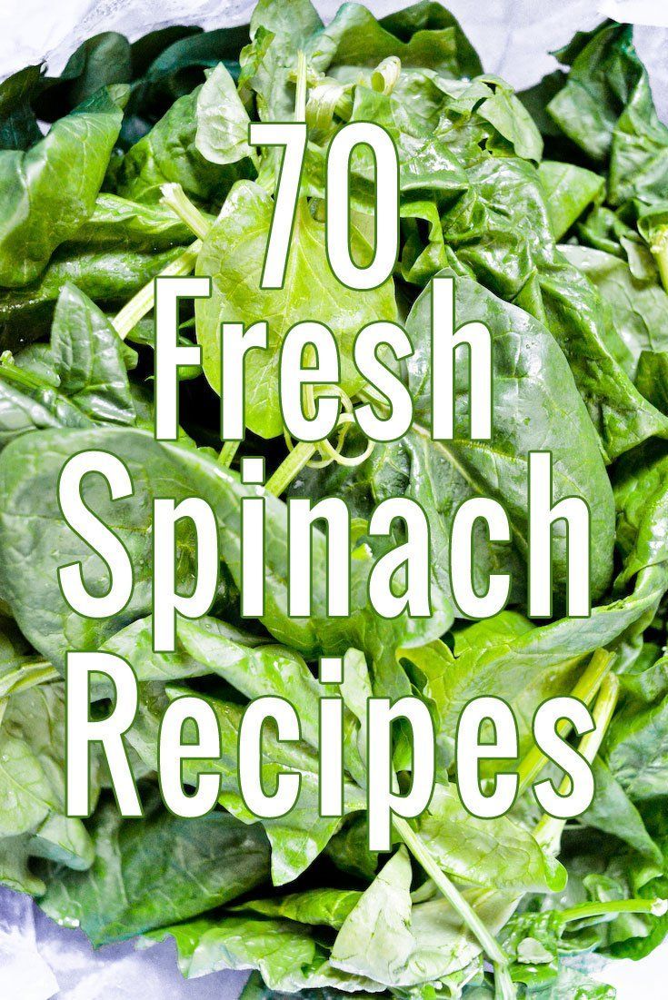 Fresh Spinach Recipes