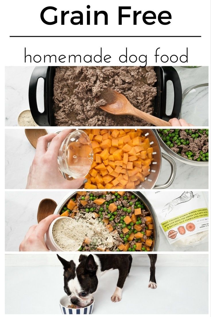 Simple Healthy Dog Food Recipes