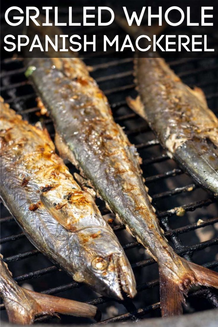 How To Cook A Spanish Mackerel