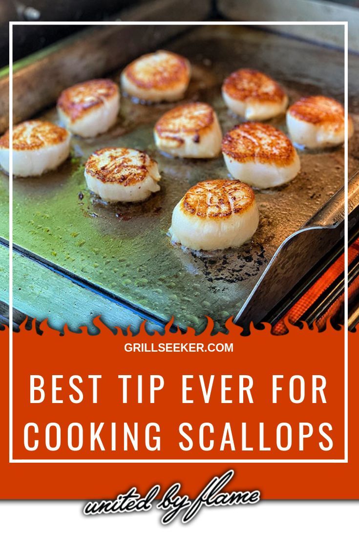 How To Cook And Prepare Scallops