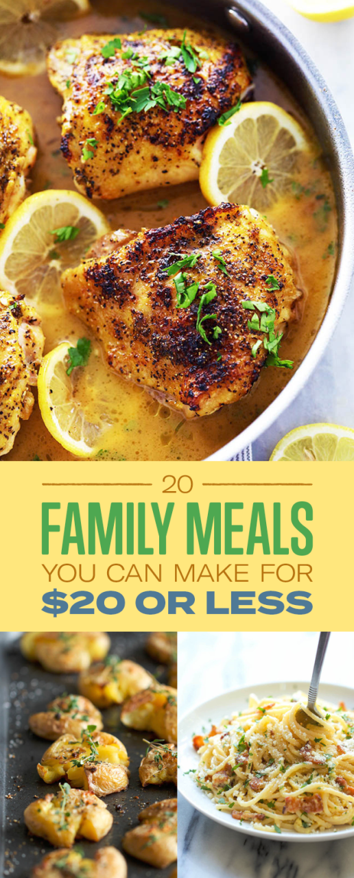 Cheap Family Meals Under $20
