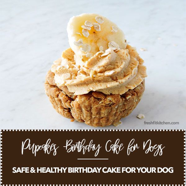 Healthy Birthday Cake Recipe For Dogs