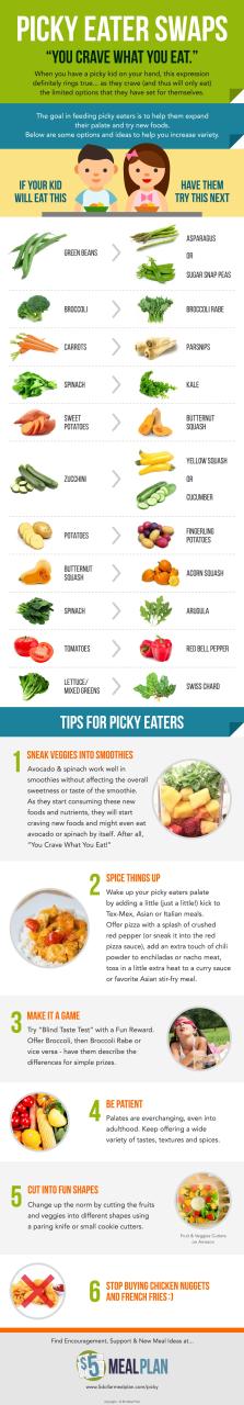 Healthy Diet Recipes For Picky Eaters
