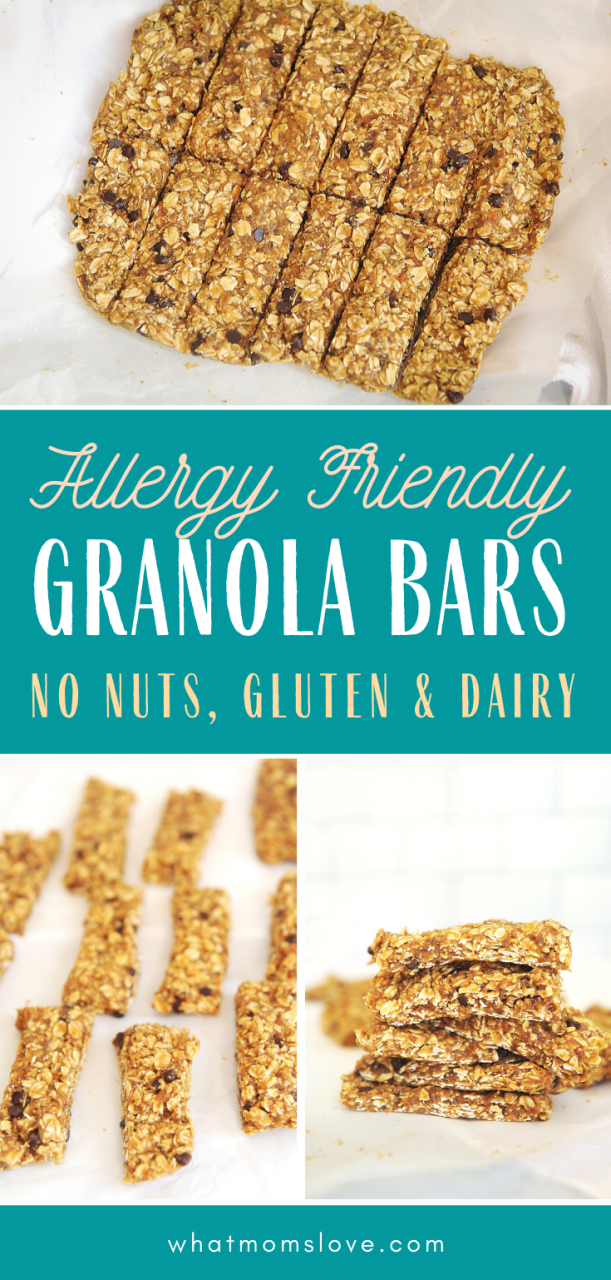 Healthy Granola Bars Recipe No Nuts