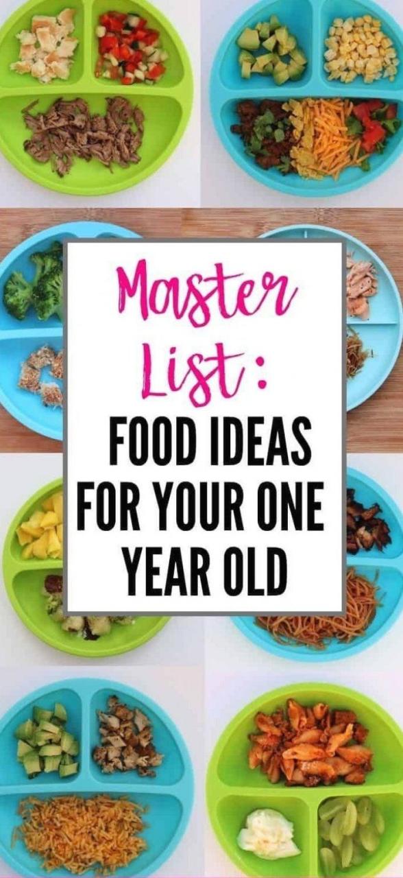 Healthy Easy Meal Ideas For One Year Old