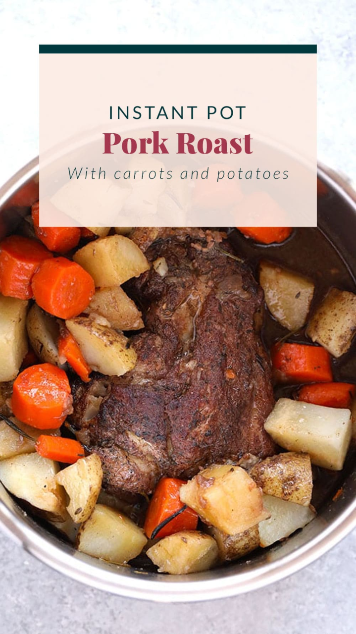 Pork Shoulder Picnic Roast Recipe Instant Pot